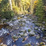 Polubny